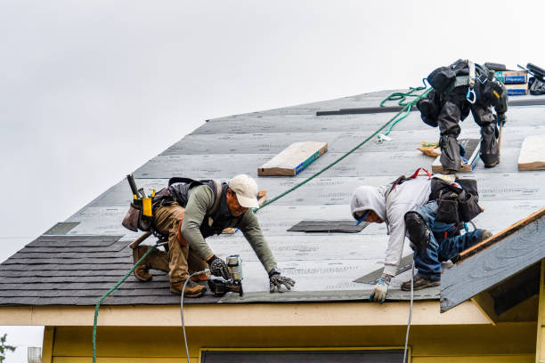 Professional Gutter Installation technician working in Lakeland, MN